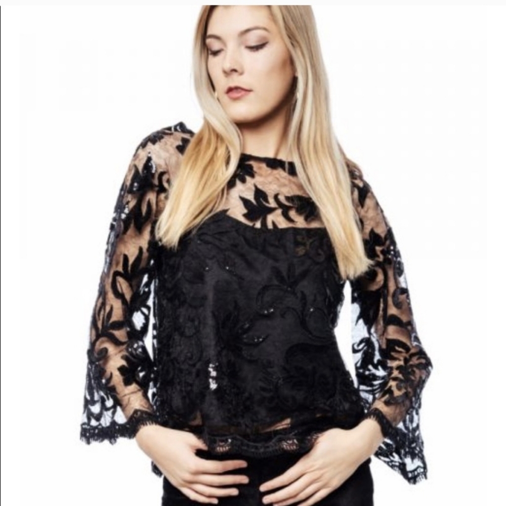 Cupcakes & Cashmere Lace Georgette Blouse Top NWT Womens Small Whimsigoth Fairy